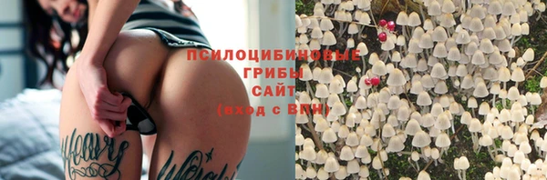 крисы Абинск